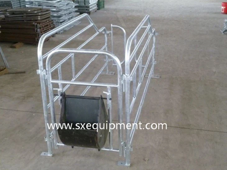 Pig Gestation Crate